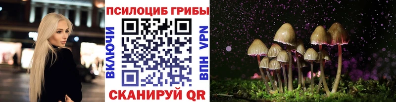 купить наркотики цена  Салаир  Галлюциногенные грибы MAGIC MUSHROOMS 